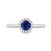 14k White Gold Womens Round Blue Sapphire Diamond Halo Ring 7/8 Cttw