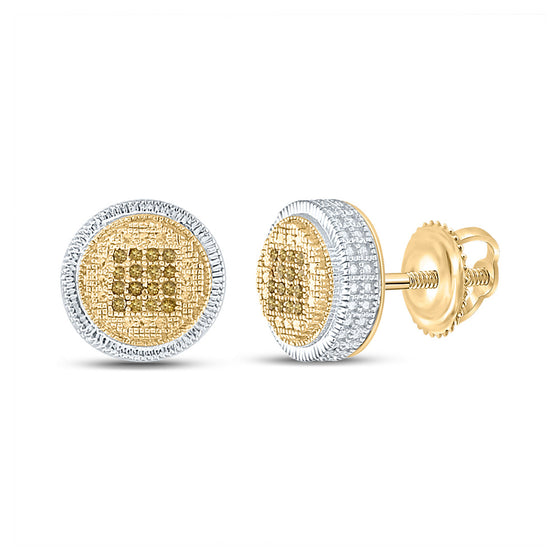 Sterling Silver Round Yellow Color Enhanced Diamond Circle Earrings 1/10 Cttw