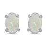 14k White Gold Oval Opal Earrings