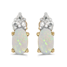  14k Yellow Gold Oval Opal Earrings