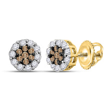  14k Yellow Gold Womens Round Brown Diamond Flower Cluster Earrings 1/2 Cttw