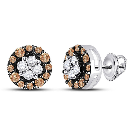 10k White Gold Womens Round Brown Diamond Cluster Stud Earrings 1/3 Cttw